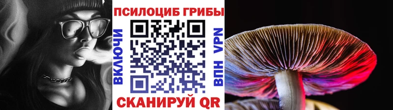 Галлюциногенные грибы прущие грибы  Купить закладки  Керчь 